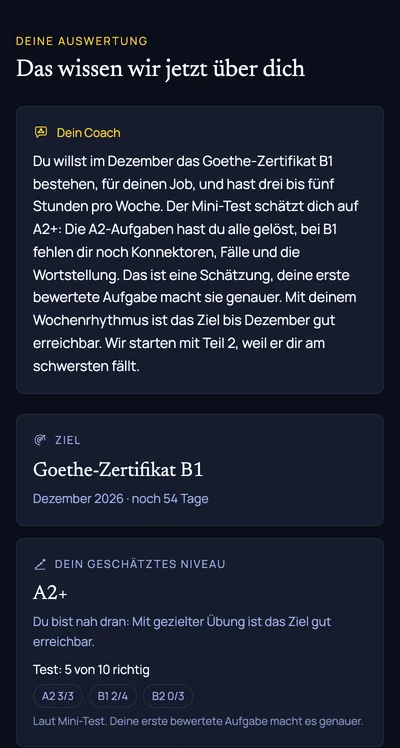 Auswertung: Coach-Zusammenfassung, Ziel und geschätztes Niveau